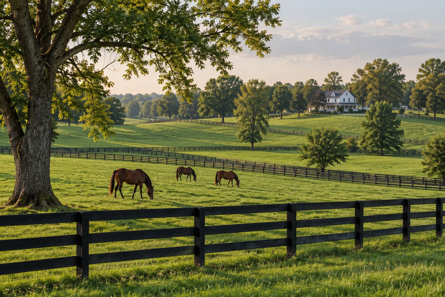 A Richmond area home, illustrative